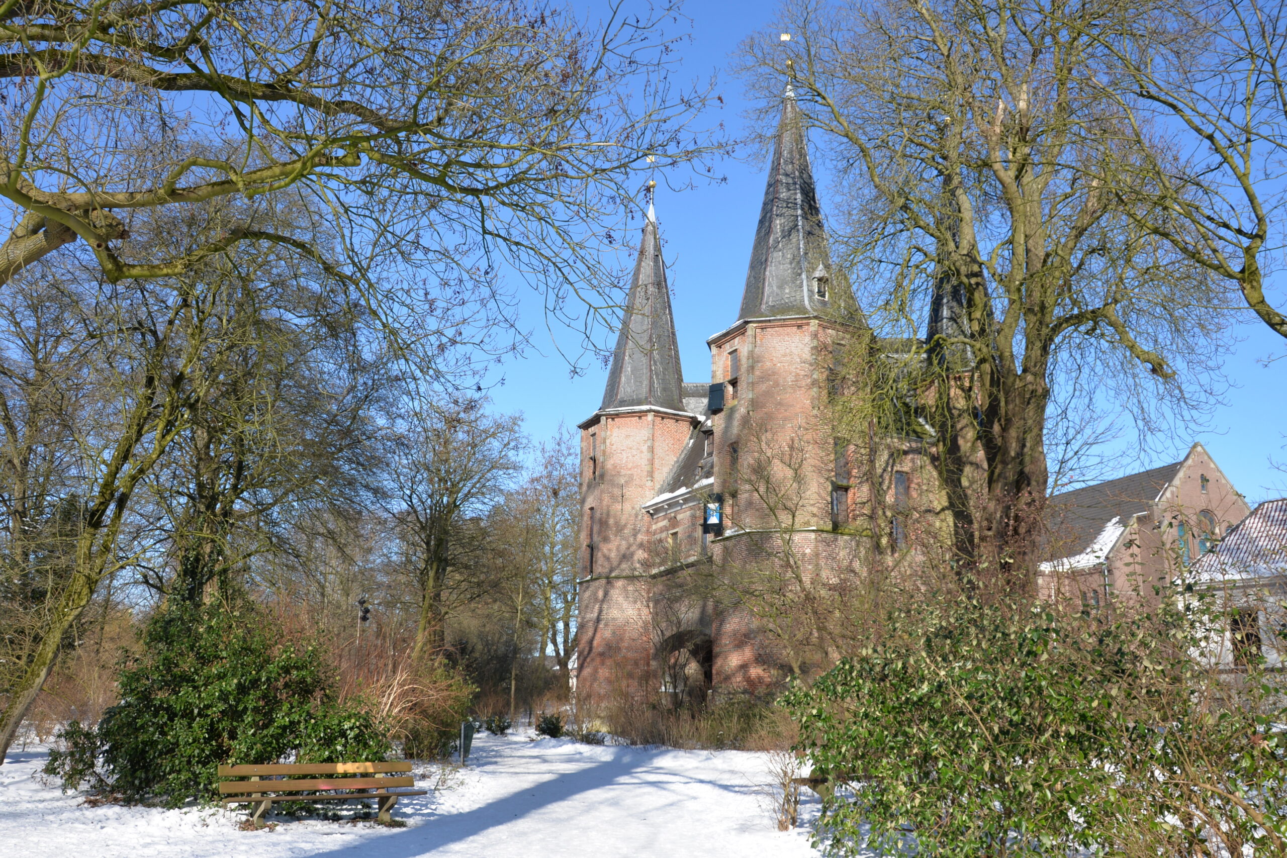 Remy_Steller©_01879_2021